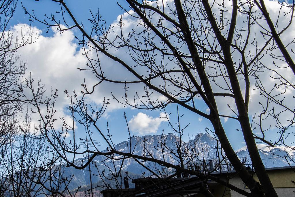 Owcze Runo Zakopane